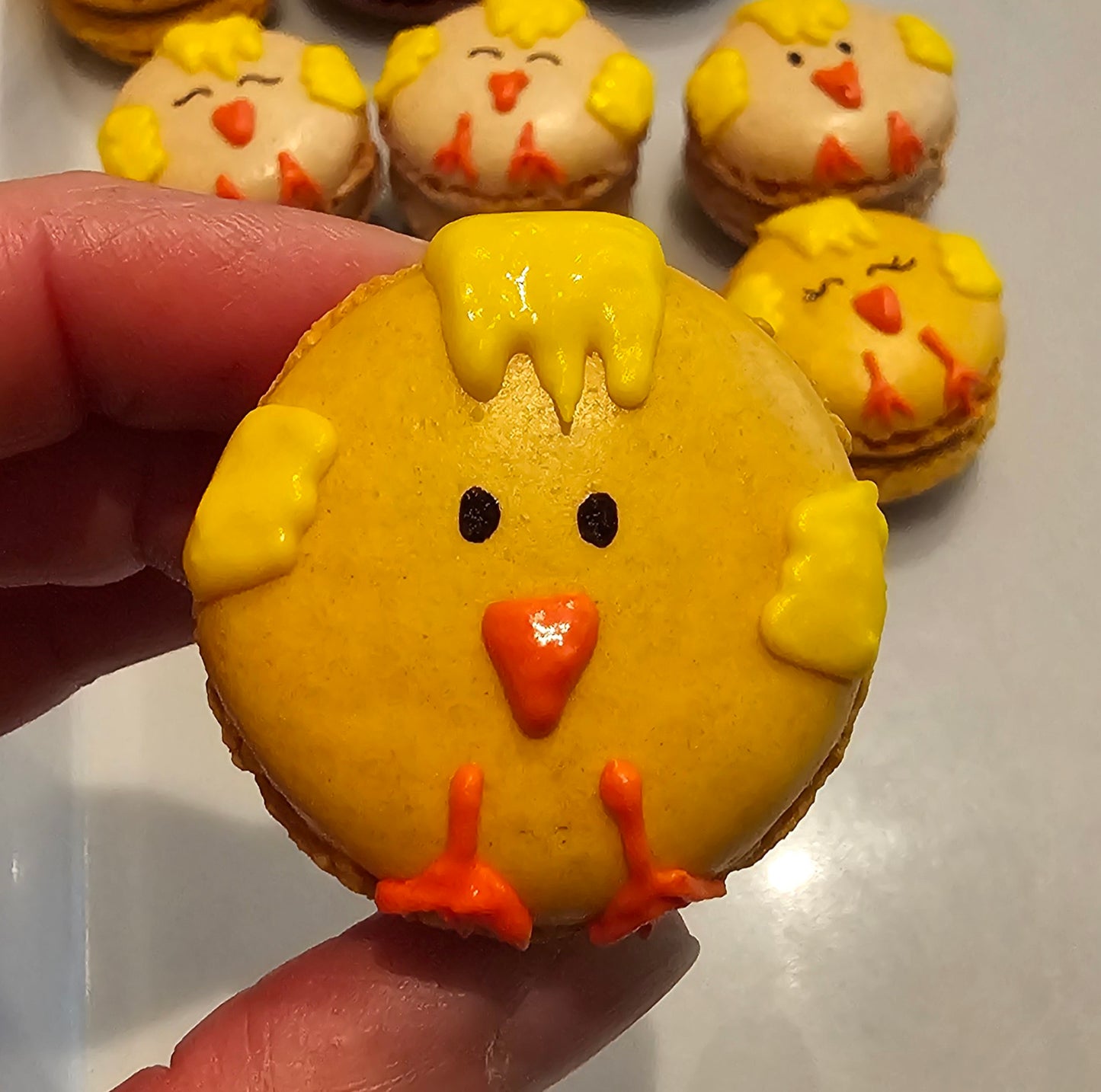 Le coffret de poussins