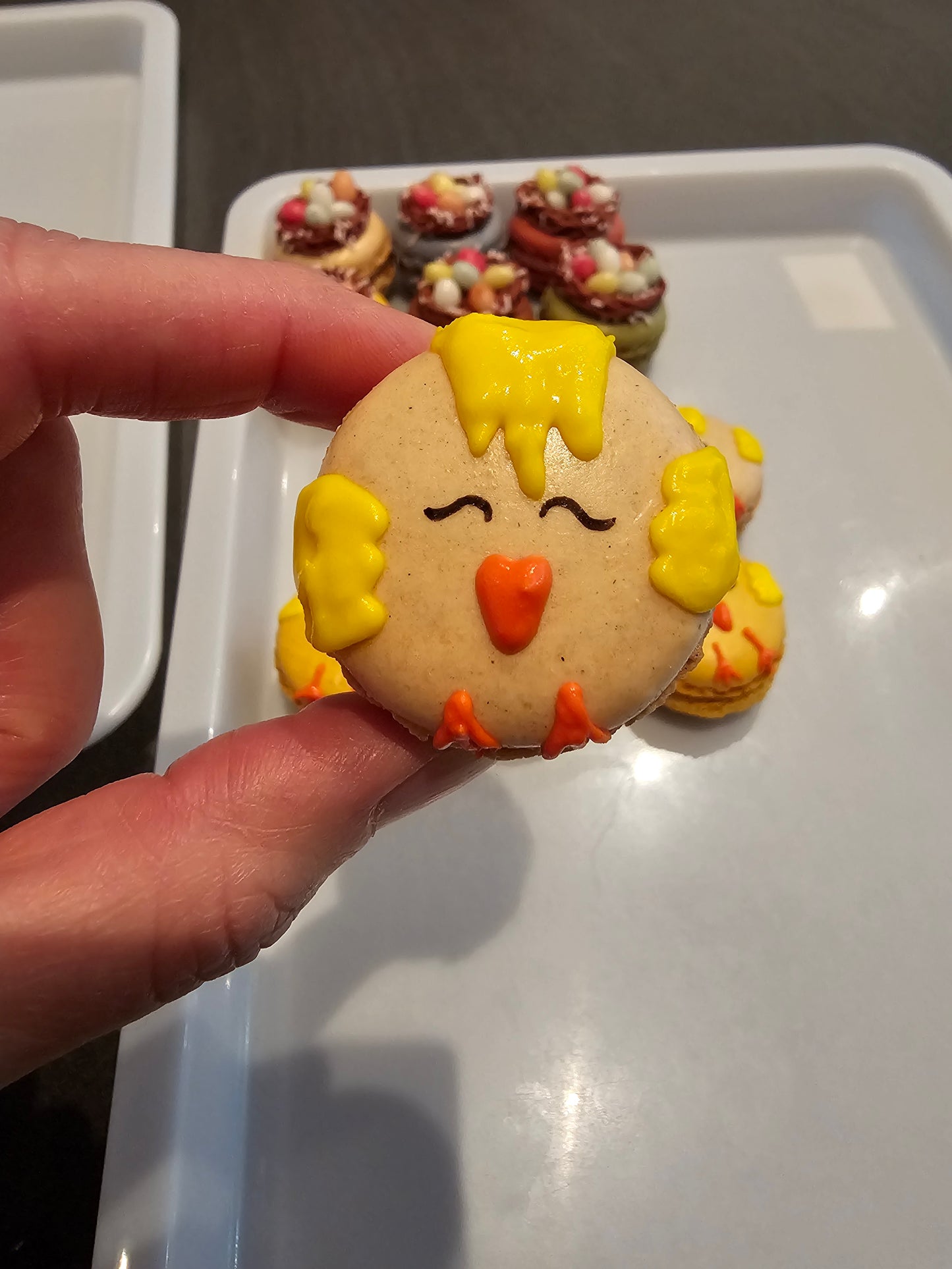 Coffret macarons poussins de Pâques