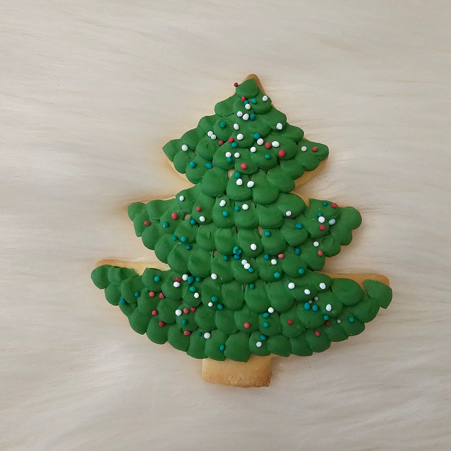 Petit sapin