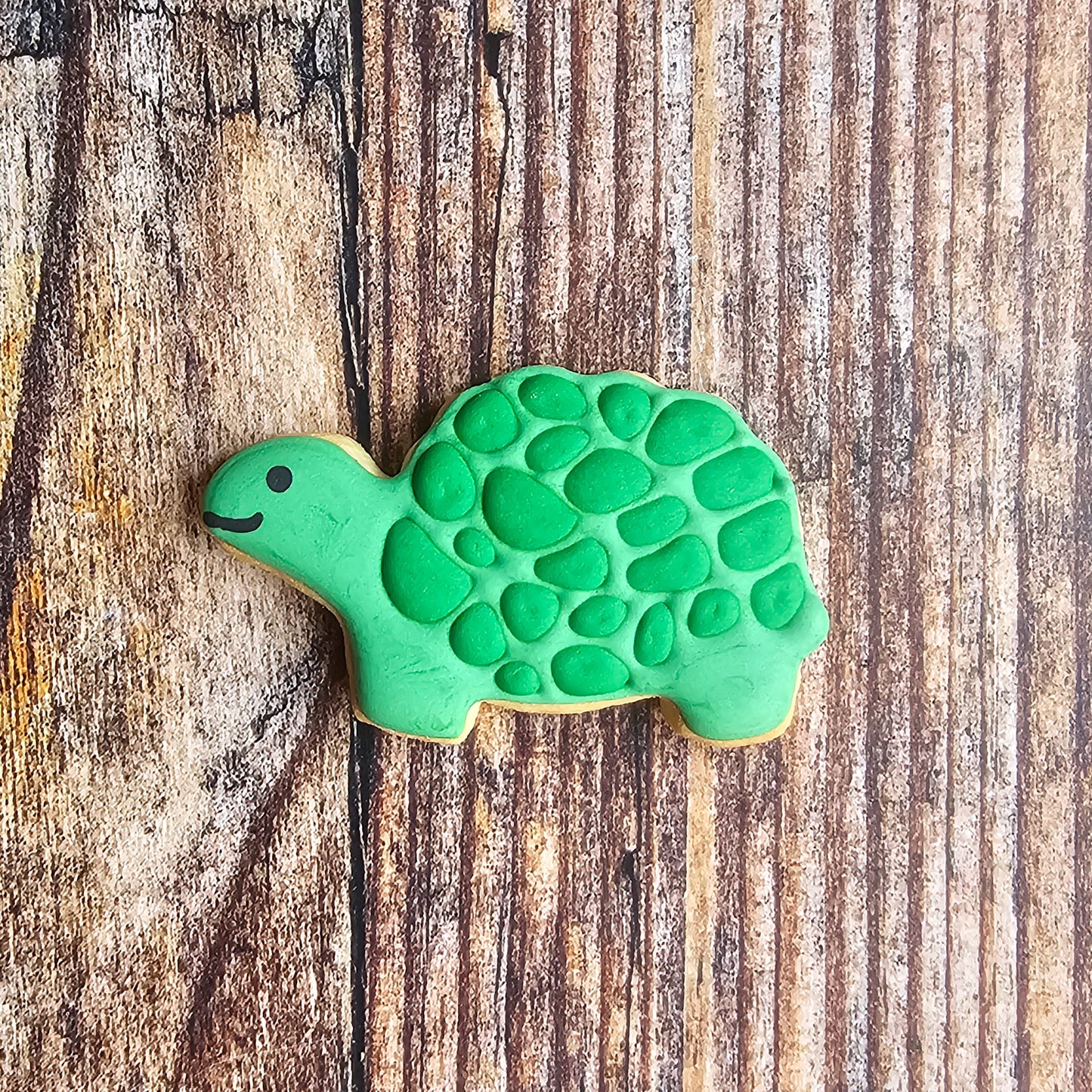 Tortue